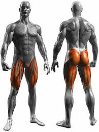 ECCO PERCHE’ E’ INDISPENSABILE ALLENARE LE GAMBE