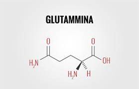 Glutammina